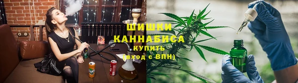 ПСИЛОЦИБИНОВЫЕ ГРИБЫ Пересвет