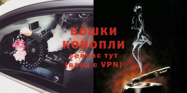 ПСИЛОЦИБИНОВЫЕ ГРИБЫ Пересвет