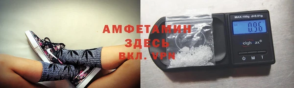 ПСИЛОЦИБИНОВЫЕ ГРИБЫ Пересвет