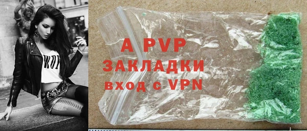 гашик Осташков