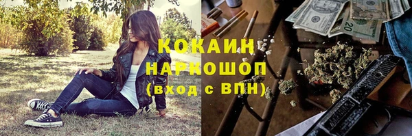 стафф Осинники