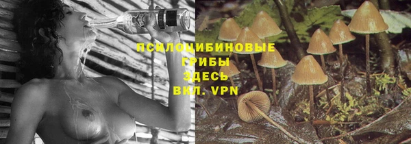 гашик Осташков