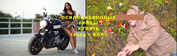 ПСИЛОЦИБИНОВЫЕ ГРИБЫ Пересвет