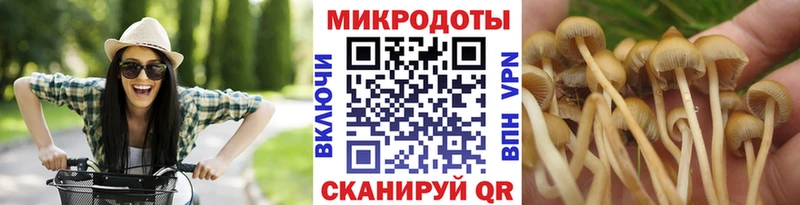 KRAKEN рабочий сайт  где продают наркотики  Руза  Псилоцибиновые грибы MAGIC MUSHROOMS 