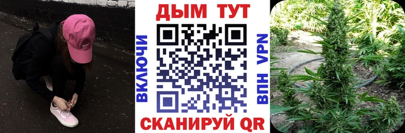 МЕГА зеркало  shop официальный сайт  Шишки марихуана планчик  Руза 